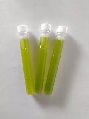 Algae Balls Starter Culture
