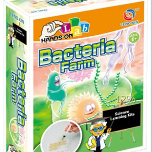 SCIENTIFIC EXPERIMENTS, BACTERIA FARM
