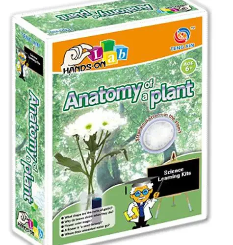 SCIENTIFIC EXPERIMENTS, PLANT ANATOMY