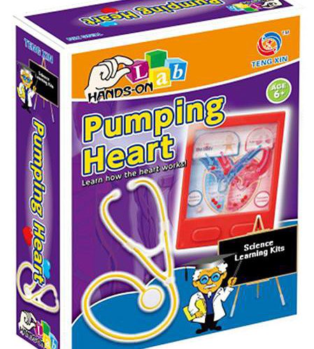 SCIENTIFIC EXPERIMENTS, PUMPING HEART