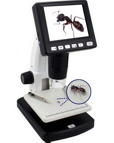 MICROSCOPE DIGITAL WITH BUILT IN SCREEN 3.5 INCH