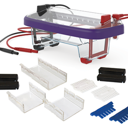 DUAL GEL ELECTROPHORESIS COMPLETE KIT