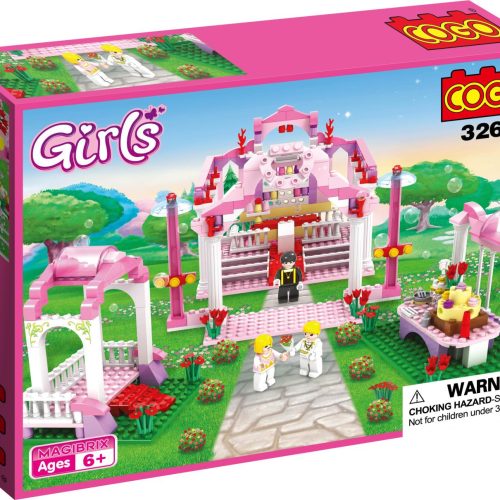 BLOCKS/350PCS