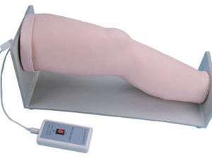 KNEE JOINT CAVITY INJECTION MODEL