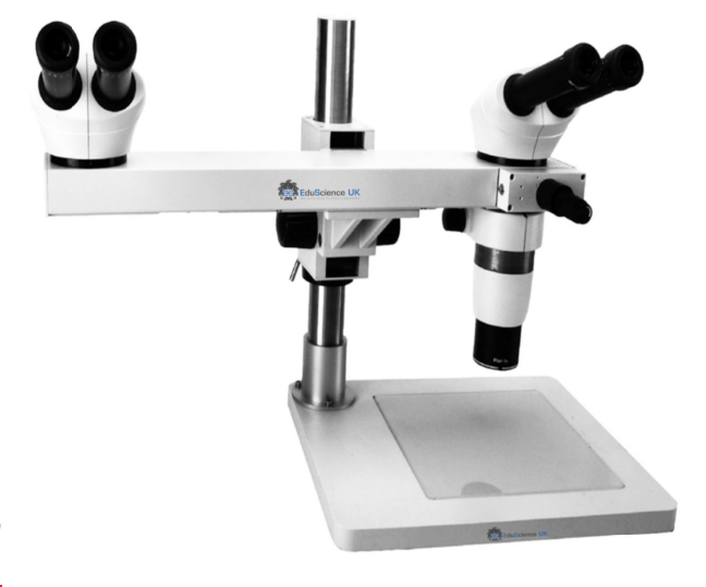 Stereo Zoom Dissection Microscope