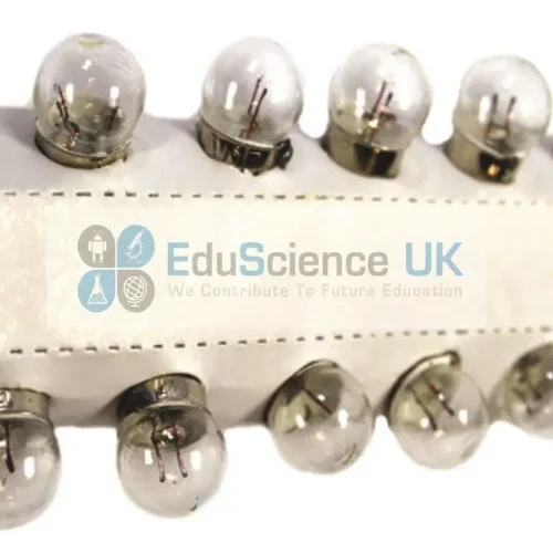 LAMP BULBS, ROUND