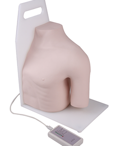SHOULDER JOINT CAVITY INJECTION MODEL