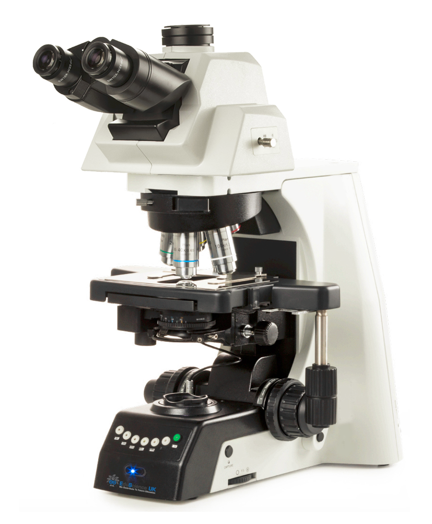 Upright Microscope with Digital Camera , E SEARCH ADV